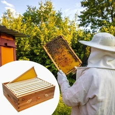 Beecastle 10-Frame Langstroth Beehive with Windows, Beeswaxed Coated Bee Hive