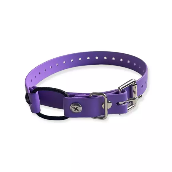 Mini educator bungee collar cheap