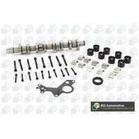 BGA Nockenwelle Passend FüR Audi A3 A4 A6 Seat Alhambra Altea Ibiza Leon Toledo