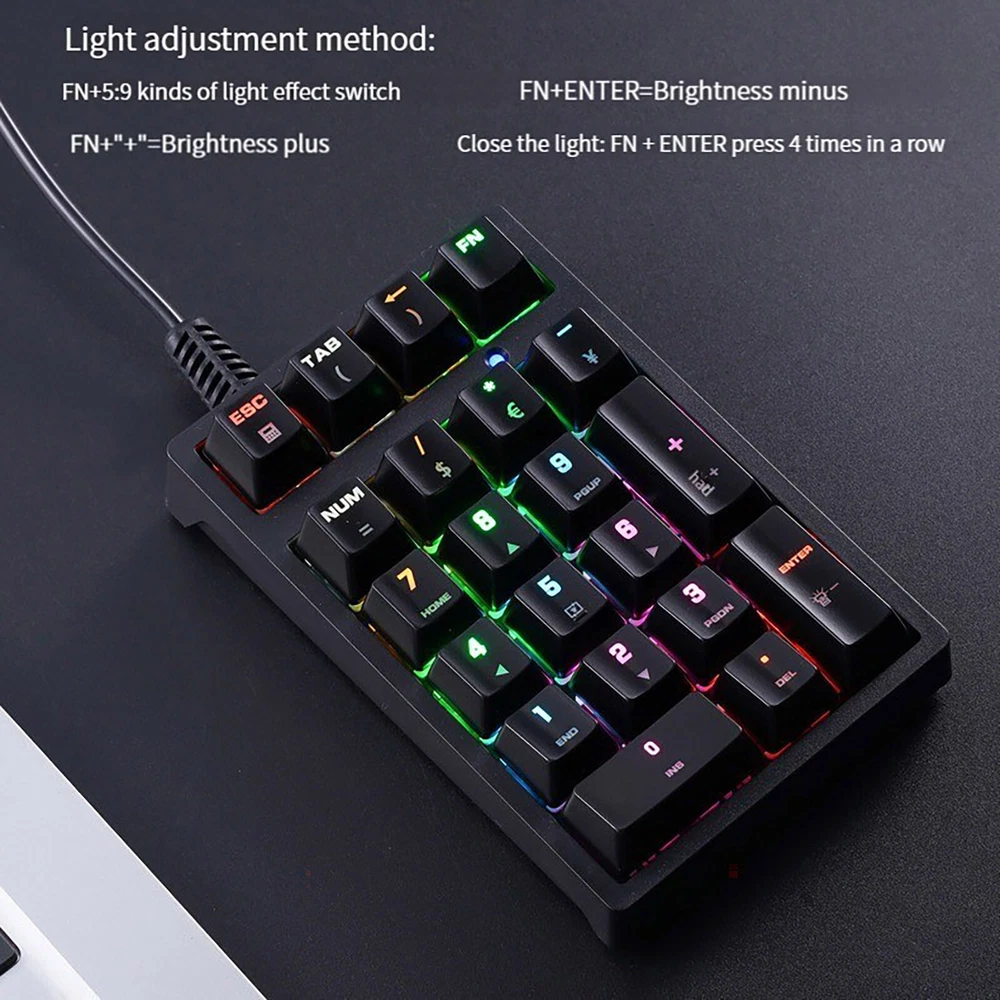 Compact Mechanical Numeric Keypad with Blue Switches for Laptops and External Devices