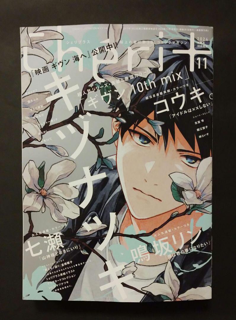 Cheri+ Plus Nov 2024 Cover Given 10th mix Japan Manga Cheri+ Plus Nov 2024 Cover Given 10th mix Japan Manga