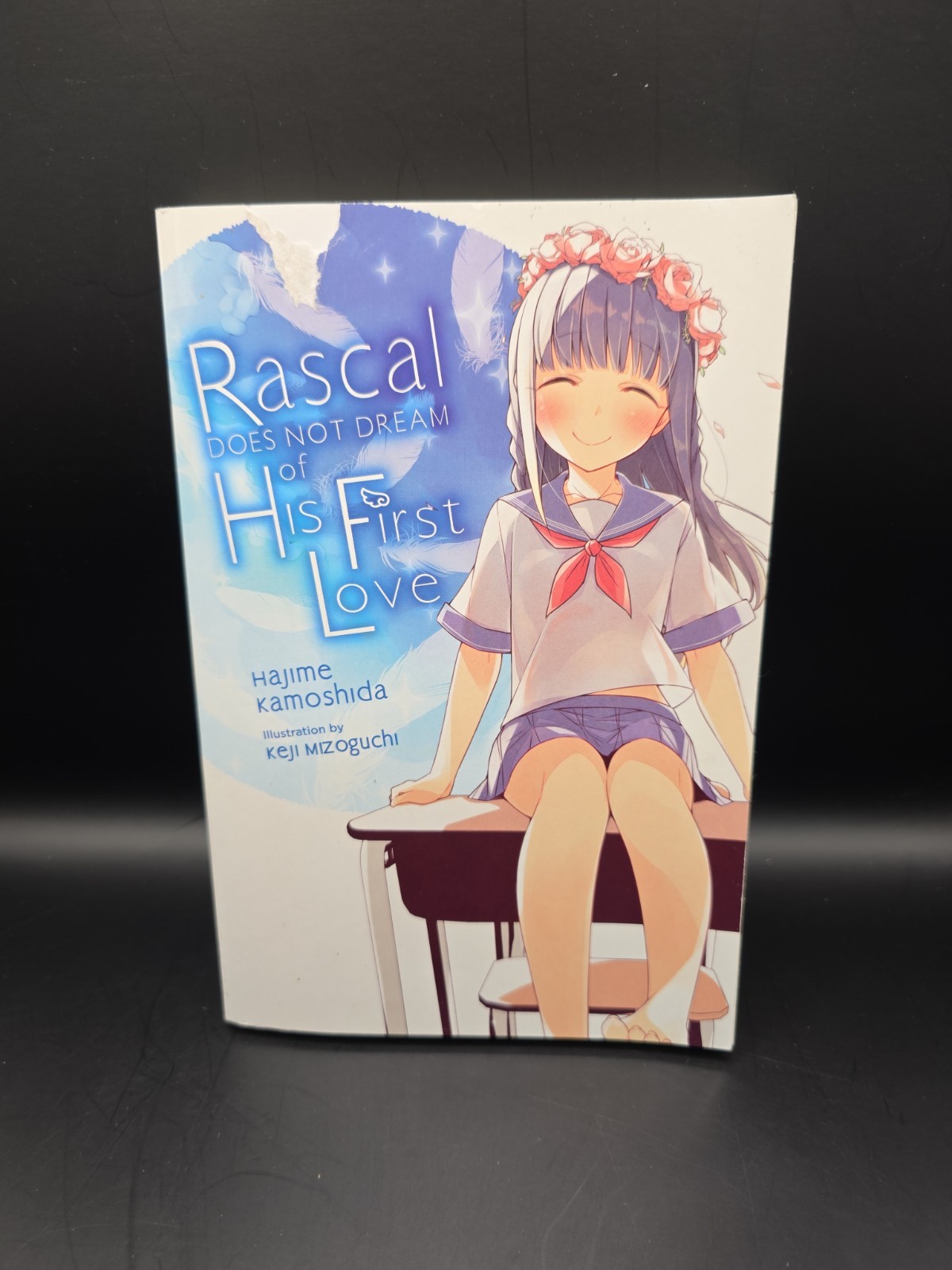 Rascal Does Not Dream of His First Love (light novel) by Andrew Cunningham