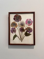 Pressed Flowers In Picture Frame 7x11