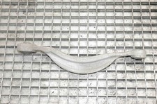 AUDI A7 Sportback 4KA 50 TDI Mild Hybrid quattro Querlenker hinten rechts 215529