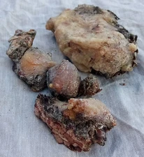 Piñon Pine Tree Sap/Resin/Pitch 'Seconds', from SW New Mexico W/Bark on Multiuse