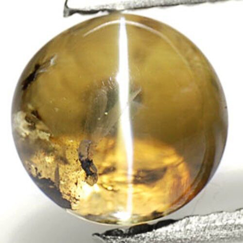 SRI LANKA Chrysoberyl Cat's Eye Cts Natural Untreated Honey