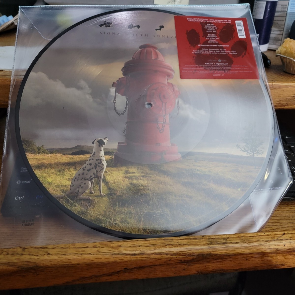輸入LP Rush Signals  B003656101 Mercury, UMe, Anthem Entertainment /00260 Rush – Signals – Vinyl (LP, Album), 1982 [r10756142] | Discogs