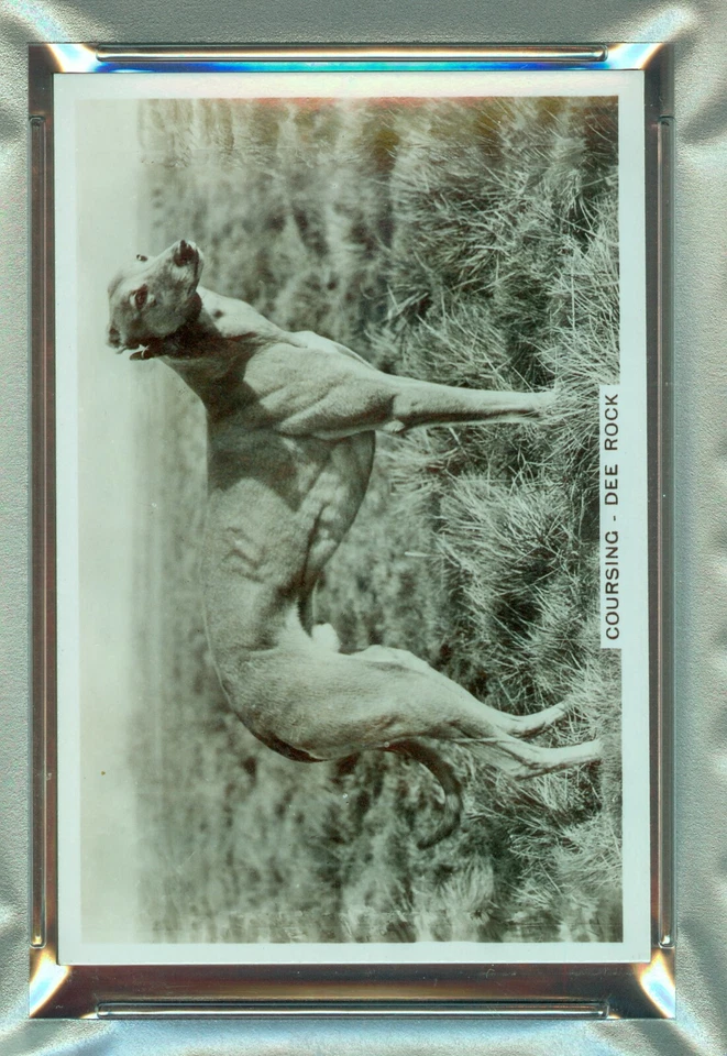 1935 J.A.Pattreiouex Dee Rock Sporting Events & Stars#47 PSA NM-MT 8 - Image 2 of 3