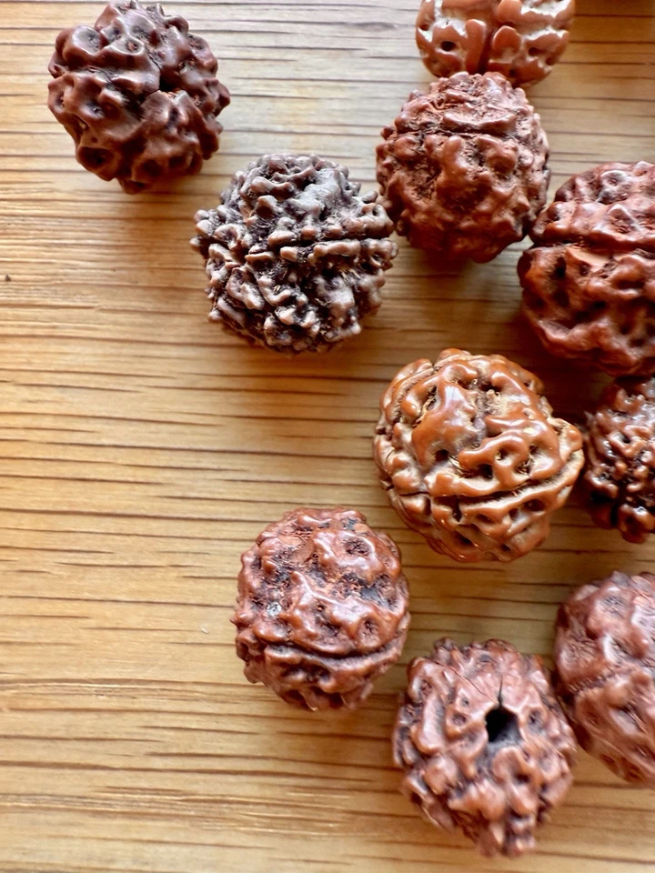 Gauri Shankar Nepal Natural Rudraksha Java Bead Lot Brown Round Seed 26 Pcs - Image 3 of 4