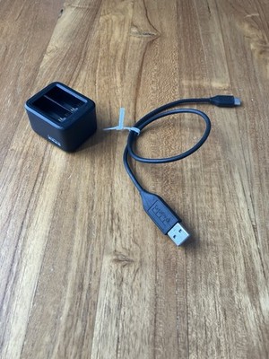 GoPro Enduro Dual Battery Charger and USB C Cable