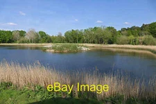 Photo 6x4 Heather farm Wetland Centre Woking The lake in the new Heather  c2016