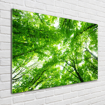 Glas-Bild Wandbilder Druck auf Glas 100x70 Deko Blumen & Pflanzen Grüner Wald
