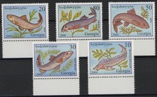 [80.369] Georgia 2000 : Ryby - Dobry zestaw Bardzo drobne znaczki MNH