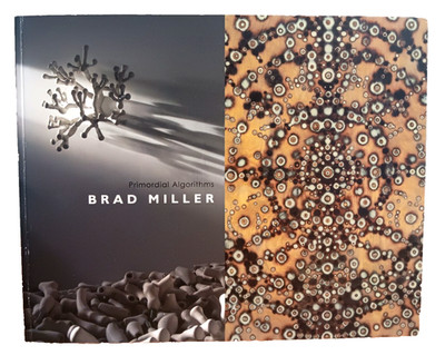 Primordial Algorithms by Brad Miller Paperback Book Signed 2011 Art Architecture