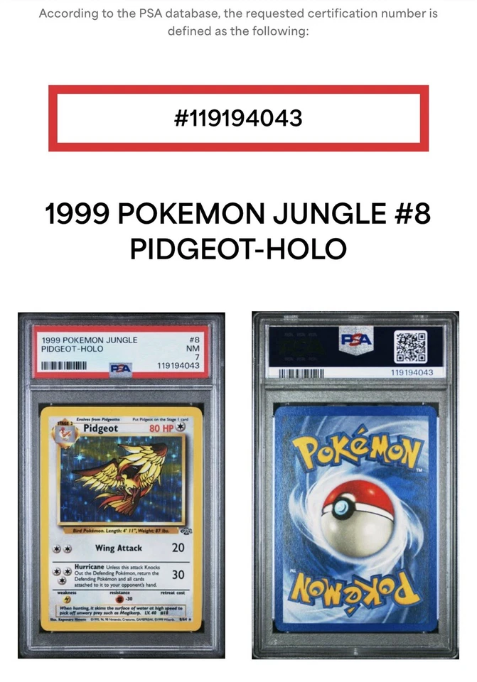 1999 Pokemon Jungle Pidgeot Holo Pokémon Near Mint PSA 8/64, Free Shipping - Image 3 of 3