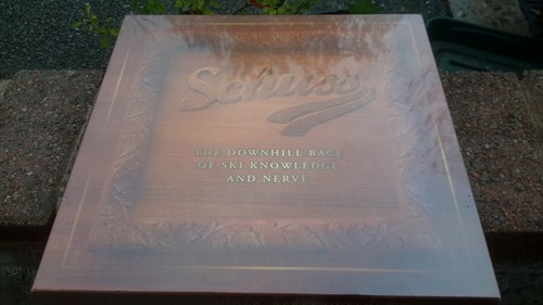 SCHUSS BOARD GAME ( DOWNHILL RACE OF SKI KNOWLEDGE & NERVE ) BRAND NEW & SEALED! - Picture 1 of 2