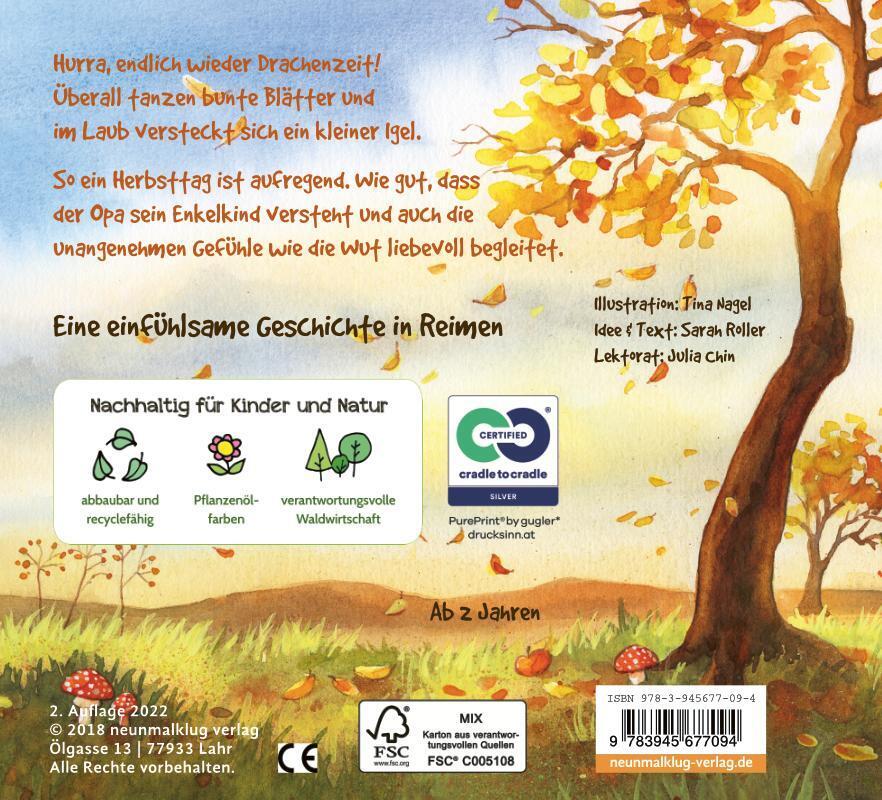 Thumbnail - Flieg, Kleiner Drachen | Sarah Roller | Buch | 24 S. | Deutsch | 2018