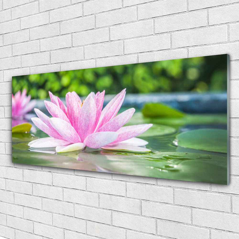 Tableau mural panoramique Plexiglas 125x50 Art Eau Fleur pour chambre