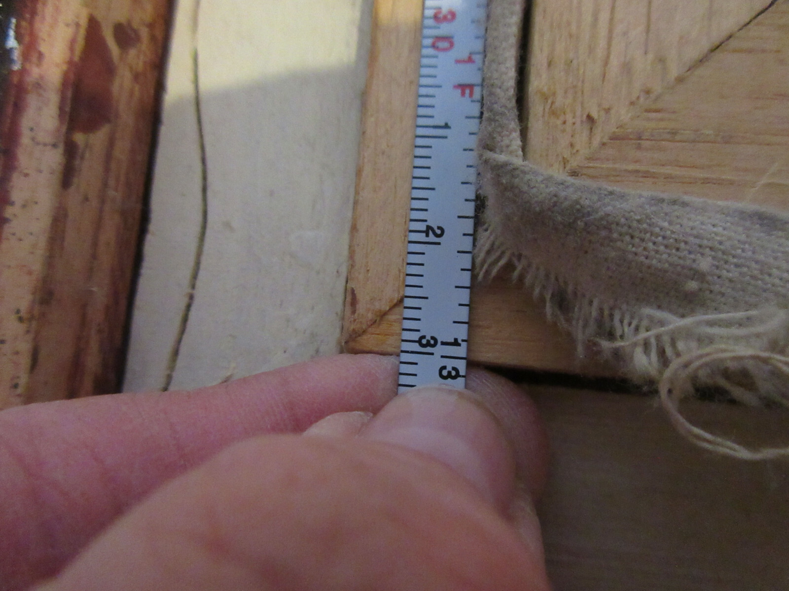 Foto 11 di 11