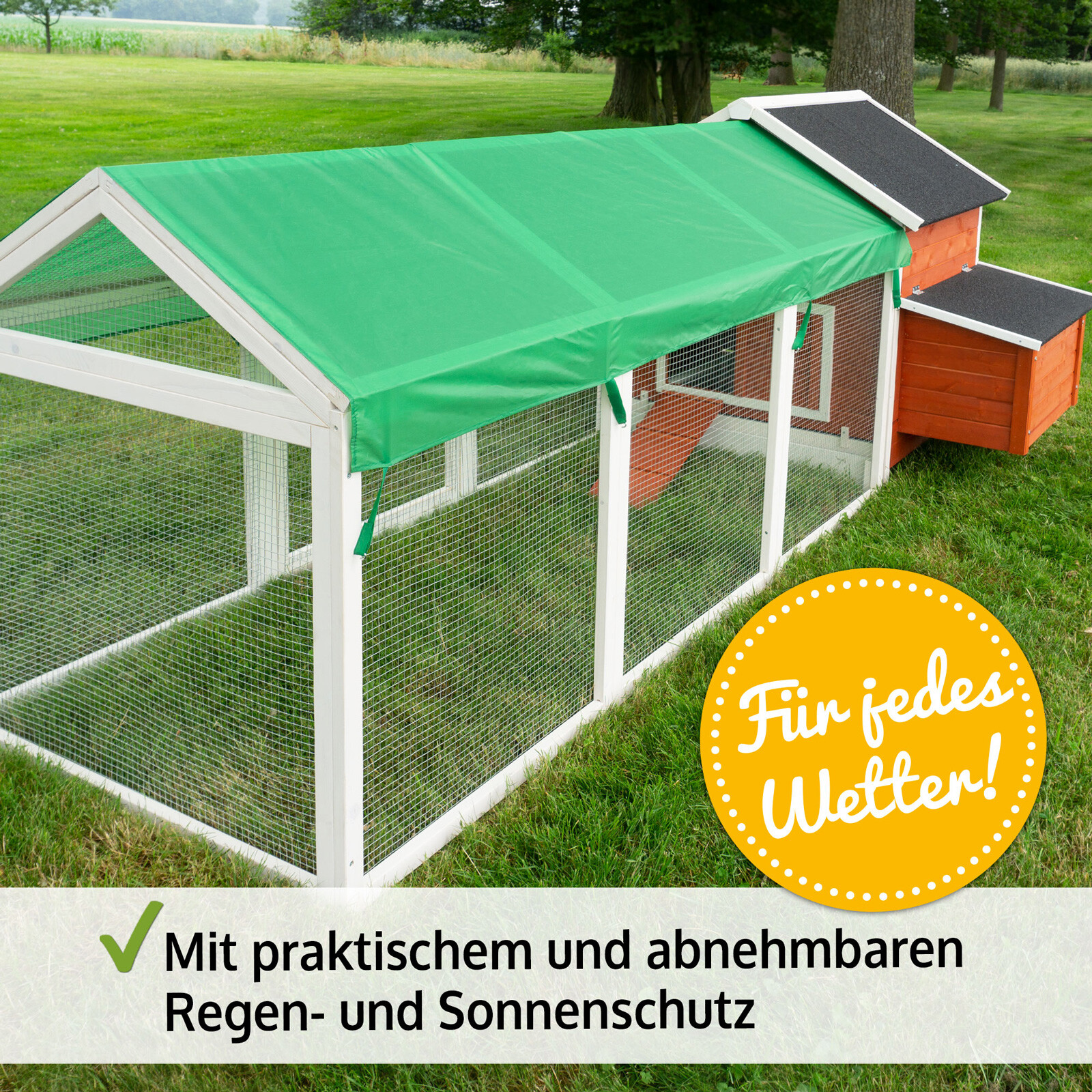 Bild 8 von 13