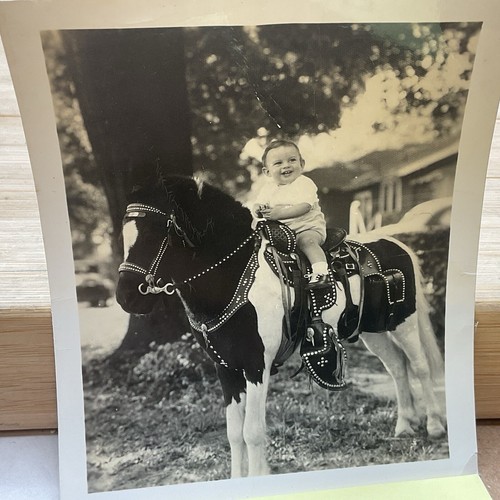 Vintage Foto eines Jungen sitzt auf einem kleinen Mini Pferd Pony S813 - Bild 2 von 5