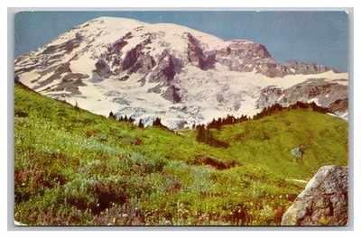 Washington WA Mt. Rainier from Alta Vista Slopes Wildflowers Chrome Postcard