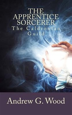 Apprentice Sorcerer, Paperback by Wood, Andrew G., Brand New, Free shipping i...