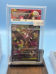 Mega Lopunny ex 114/080 Special Art Rare Phantasmal Flames