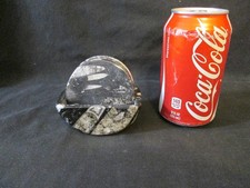 Handmade Orthoceras Fossil Marble Coaster Set...