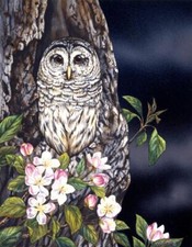 Ceramic Backsplash Tile Mural Bird Of Prey Bird - Owl and Apple Blossoms