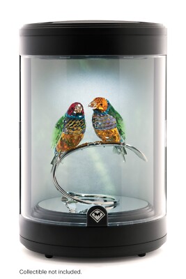 Round LED Lighted Display with Rotating Base for Collectibles
