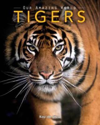 Tigers: Amazing Pictures  Fun Facts on Animals in Nature (Our Amazi - VERY GOOD