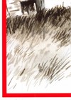 Bild 146 von 180