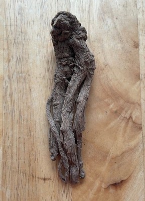 Meisterkraut, Meisterwurzel, Peucedanum Ostruthium