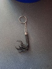 Taxidermy Crow Foot (Corvus Corone) Not Endangered