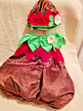 Chocolate Covered Strawberry Halloween Costume- Girls 24 Months: Easy slip on