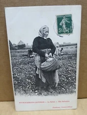 PITHIVIERS EN GATINAIS (45) saffron harvest close-up