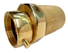 GIACOMINI A90CY002 Check Snoot w/ Swing Clapper 3" F-NPT x 2-1/2" F-NST Swivel