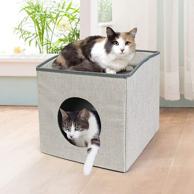 cat cube condo