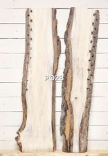 Live Edge Poplar Slab – 1240mm x 170-280mm x 30mm - PO28