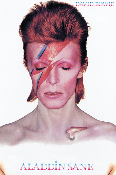 DAVID BOWIE ALADDIN SANE 24x36 POSTER POP MUSIC LEGEND ROCK ARTIST