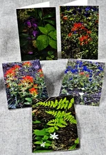 Pacific Northwest spring wildflowers Set of 5 Blank Photo Notecards