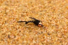 12 Flies Black Micro Mayfly Nymph Fishing Flies - Mustad Signature Fly Hooks