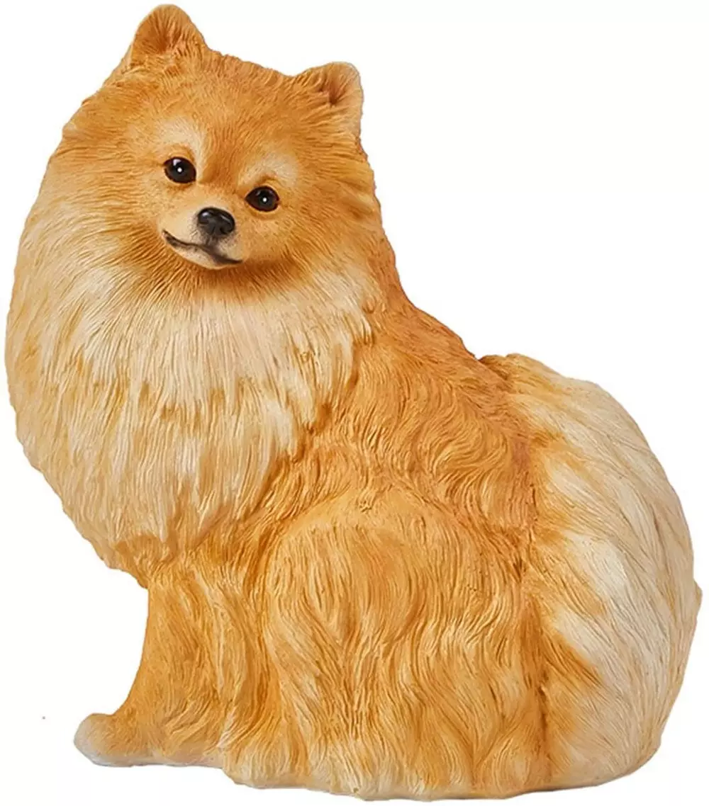 Schleich pomeranian cheap