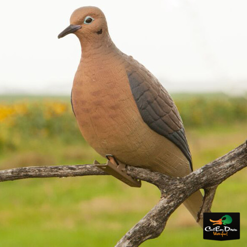  バード　 Dove 33392-DEFAULT-l.jpg