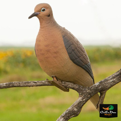 Buy Greenhead Gear Mourning Dove Decoys - Pack of 6 online