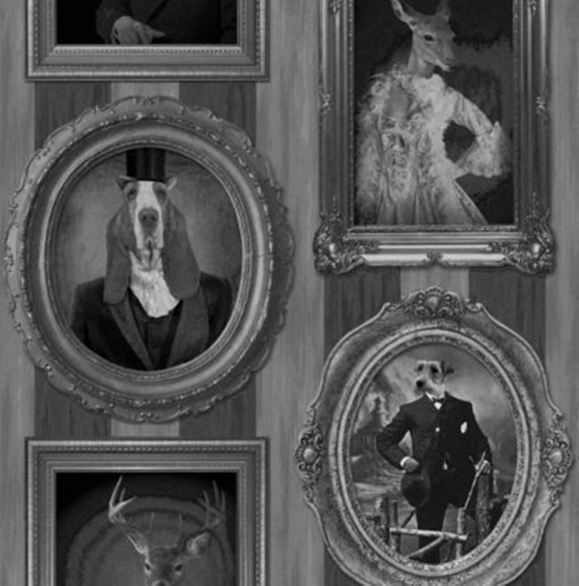 Is Charcoal Good For Dogs