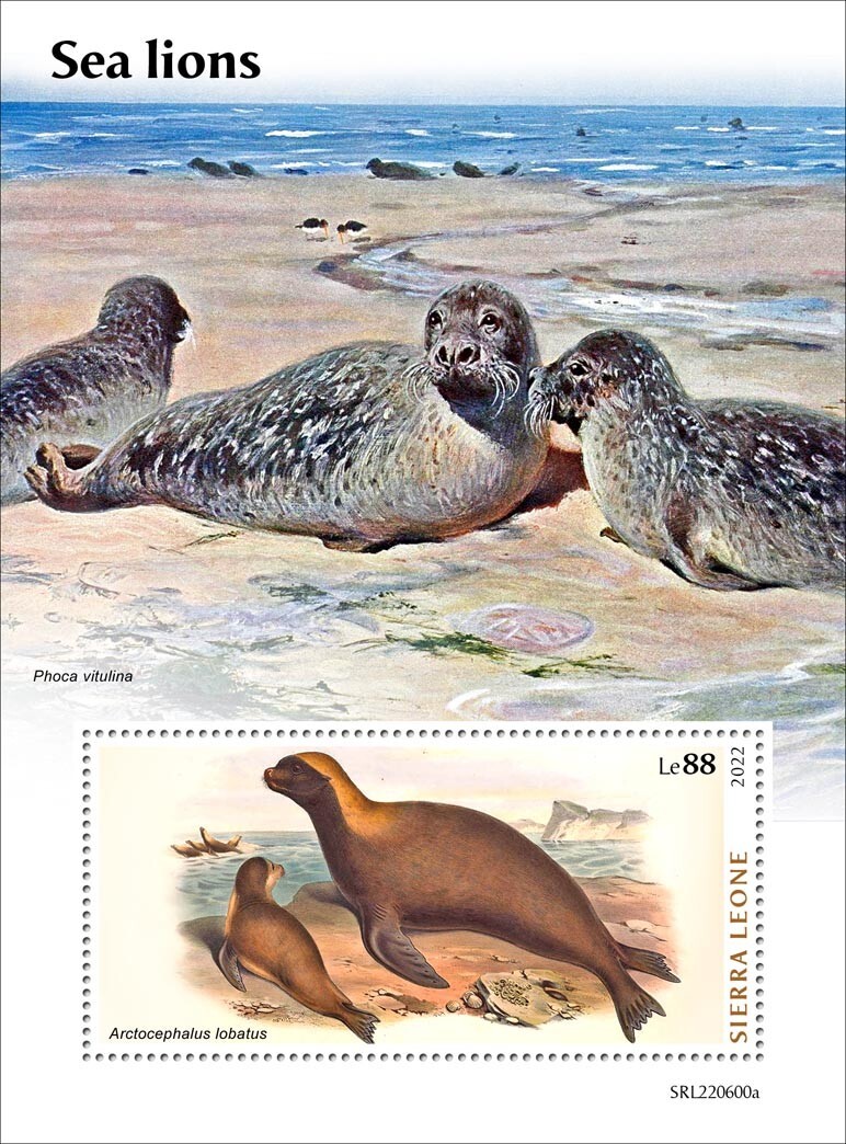 Sea Lions MNH Stamps 2022 Sierra Leone S/S | eBay