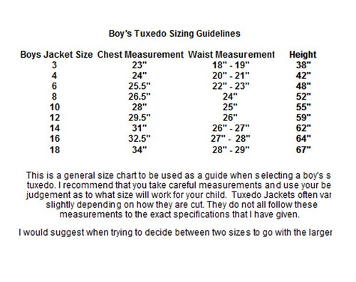 Boys Size 4 Tan Catalina Suit Jacket with Pants Formal Church Wedding Ringbearer - Picture 5 of 5