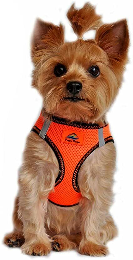 Dog Harness Orange & Black Top Stitch XXXL Clearance